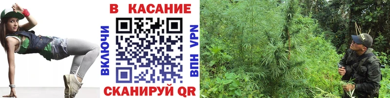Магазины продажи наркотиков Гатчина АМФЕТАМИН  МЕФ  Cocaine  Alpha PVP 