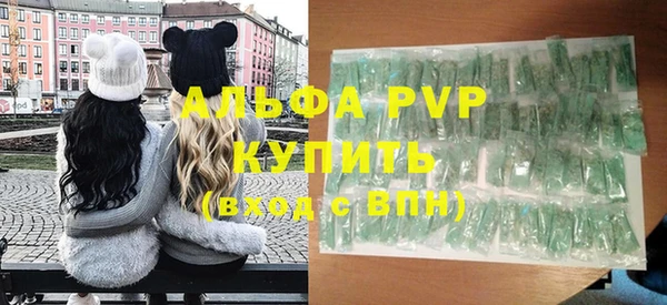 крисы Баксан