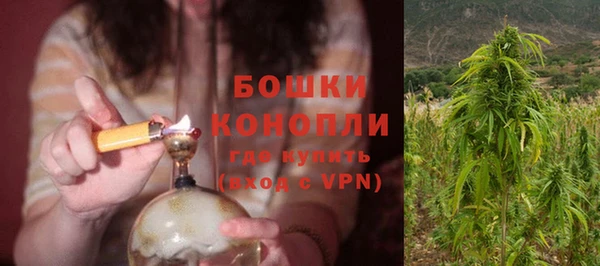 крисы Баксан