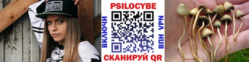 Галлюциногенные грибы Cubensis  Гатчина 